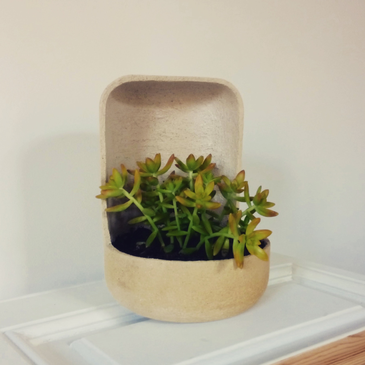 eco-design flower pots in apartment rentals
